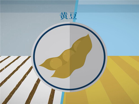 大豆的生產(chǎn)、消費(fèi)和運(yùn)輸